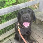 Chris Callister - @geb_chris - Instagram
