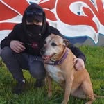 Chris Mcallister - @chrismcallister1995 - Instagram