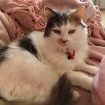Christine Callister - Facebook