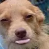 Chris Calvillo - @chrisc728 - TikTok