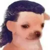 chris.calvillo - @_chris.calvillo - TikTok