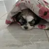 Christopher Calvillo - @christopher.calvi51 - TikTok