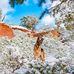 Chris Campana - Facebook