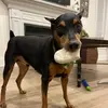 christina - @christinacampoli1 - TikTok