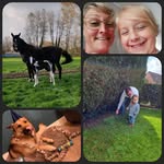 Chris Camps - @campschris - Instagram