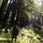 Chris Garcia - @chris.camps.outside - Instagram