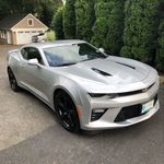 Chris Canada - @chris.canada - Instagram