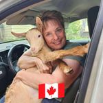 CHRISTIAN DOODLES CANADA - @christiandoodles_canada - Instagram
