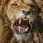 Christopher Black Canady - Miles - @chriscanadypp - Instagram