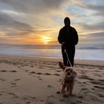 Chris Canavan - @chrislcanavan - Instagram
