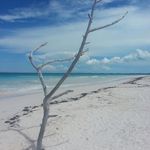 Chris Evanson-Canepa - @canepatribe - Instagram