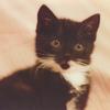 chris.canning - @chris.canning - TikTok