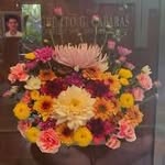 Chris Caparas - @chriscaparas - Instagram