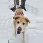 Chris Turkleton - @chris.cape - Instagram