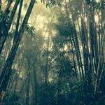 Chris Capes - @chris_capes - Instagram