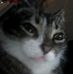 Christian Capitelli - Facebook