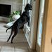 Christopher Cappetta - Facebook