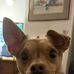 Christine Capstick - Facebook