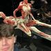 Christian Carangelo - Facebook