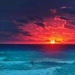 Chris.I.A - @chris.cardinal.11 - Instagram