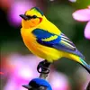 chriscaretaker - @chriscaretaker - TikTok