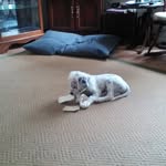 Chris Casper - @casper3856 - Instagram
