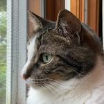 Chris Casterline - @casterline.chris - Instagram