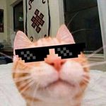 Chris_Castiglia720 - @its_____chris_ - Instagram