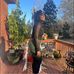 Christina Catchings - Facebook