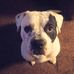 Christopher Catizone - Facebook