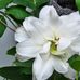 Chris Catlin - Facebook
