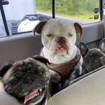 Chris Catron - @catronogr44 - Instagram