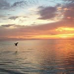 Christine Werner Catullo - @christine_wer_cat - Instagram