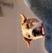 Chris Cady - Facebook