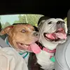 Christine Causerano - @chrissycauserano - TikTok