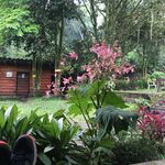 Chris Cavagnaro - @epic_journey - Instagram