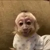 ladoblec - @chris_caves - TikTok