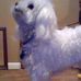 Chris Fewell Cayer - Facebook