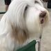 Chris Cayo - Facebook