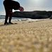 Chris Cayton - Facebook