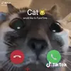 Chris Ceballos - @chrisceballos54 - TikTok