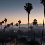 @chriscecena - Instagram