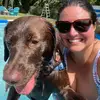 Chris &Cedar the Chocolate Lab - @wanderwithchrisandcedar - TikTok