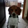 Celia - @chriscelia1 - TikTok