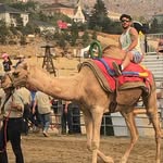 Chris Chaffee - @chaffeepettransportation - Instagram
