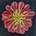 Chris Chatfield - Facebook