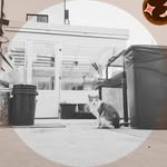 Chris Chavers - @e0njwf3 - Instagram