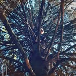 Chris Chavers - @chat3ixl178 - Instagram
