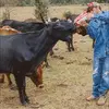Chris Chavers - @chrischavers12 - TikTok