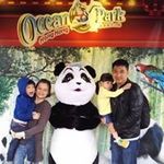 Chris Cheah - @chrischeah1 - Instagram
